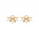 Boucles d'oreilles puces Plaqué Or éventail pierres Zirconium