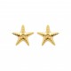 Boucles d'oreilles puces étoile de mer plaqué or pas chère obrillant-bijoux