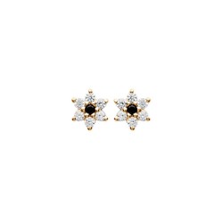 Boucles d'oreilles puces plaqué or étoile pavé zirconium blanc pierre noire obrillant-bijoux
