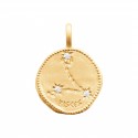 Pendentif plaqué or constellation zodiaque Poisson avec zirconium